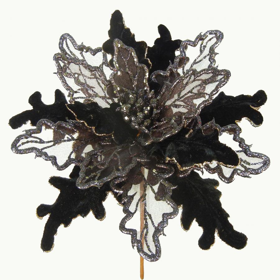 040907904487-galerias el triunfo