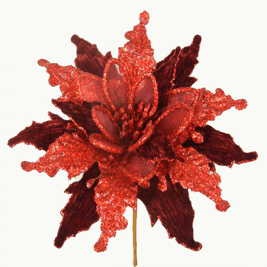 040907904488-galerias el triunfo