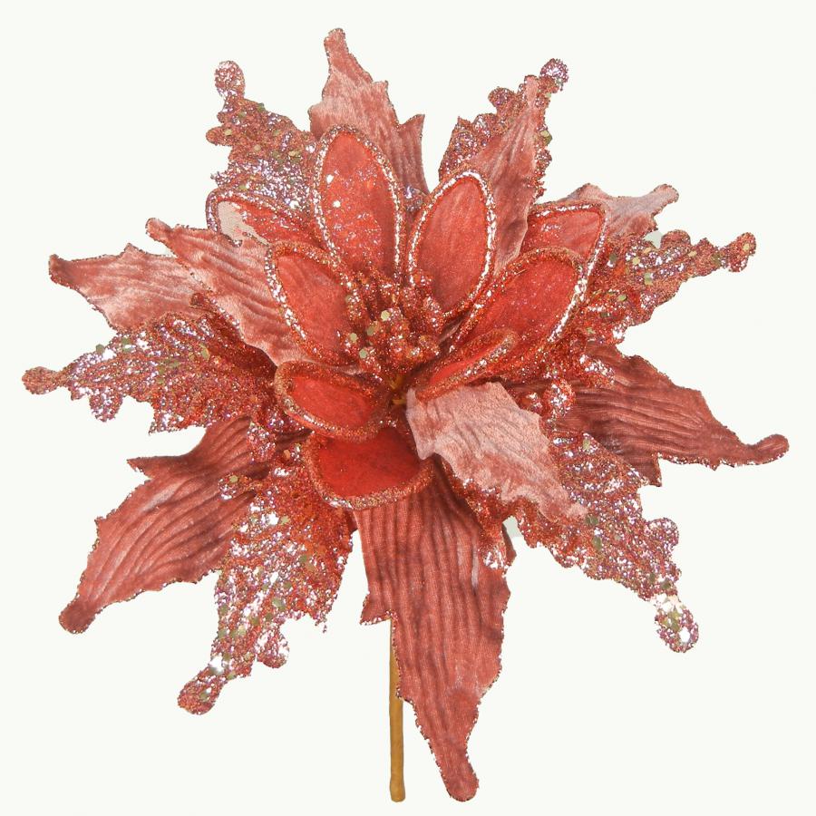 040907904489-galerias el triunfo