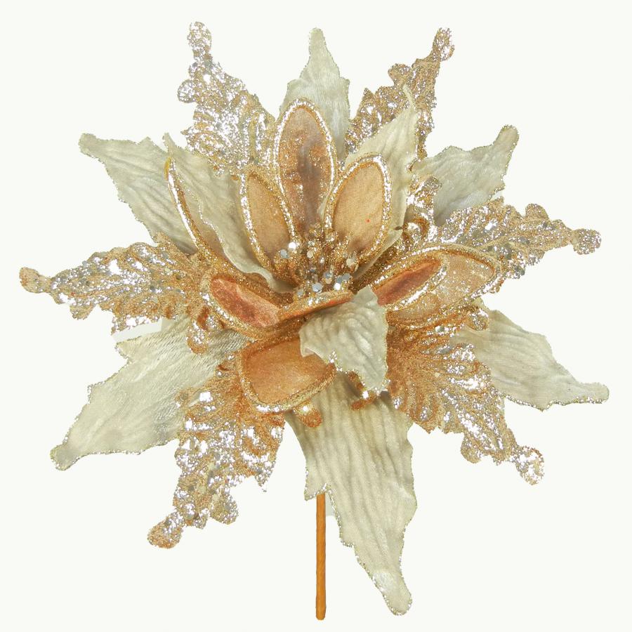 040907904490-galerias el triunfo