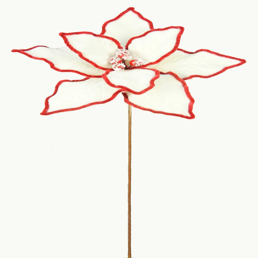 040907904497-galerias el triunfo