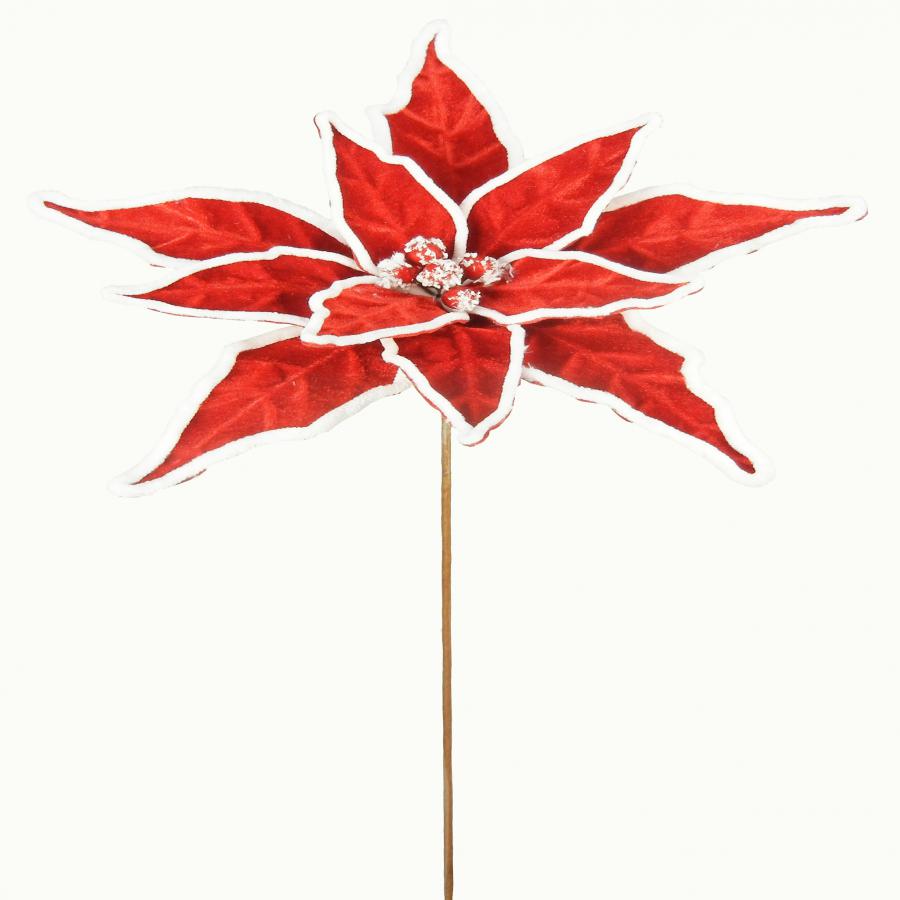 040907904498-galerias el triunfo