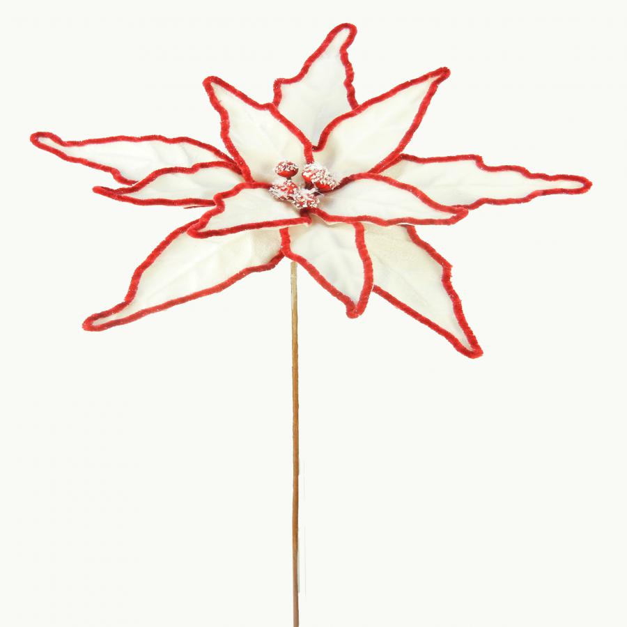 040907904499-galerias el triunfo