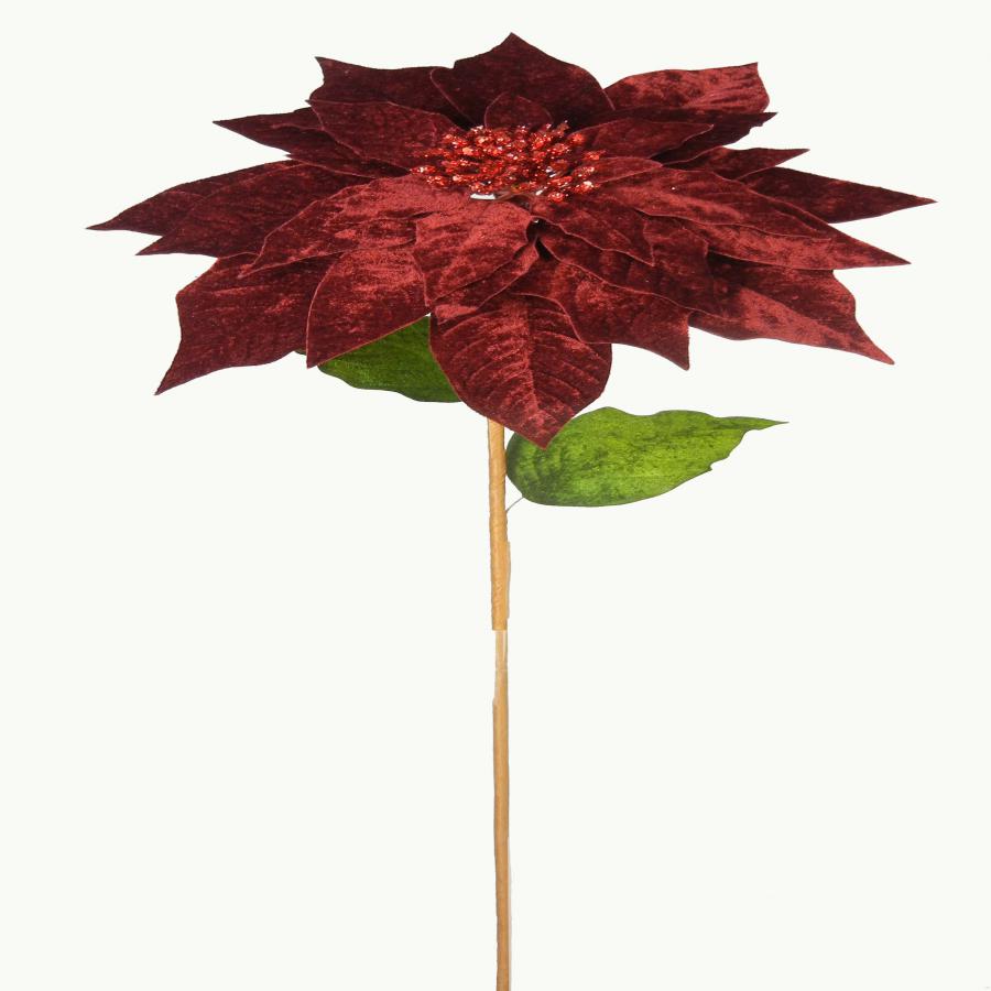 040907904500-galerias el triunfo