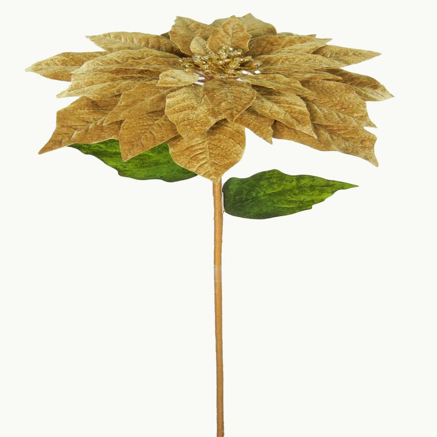 040907904501-galerias el triunfo