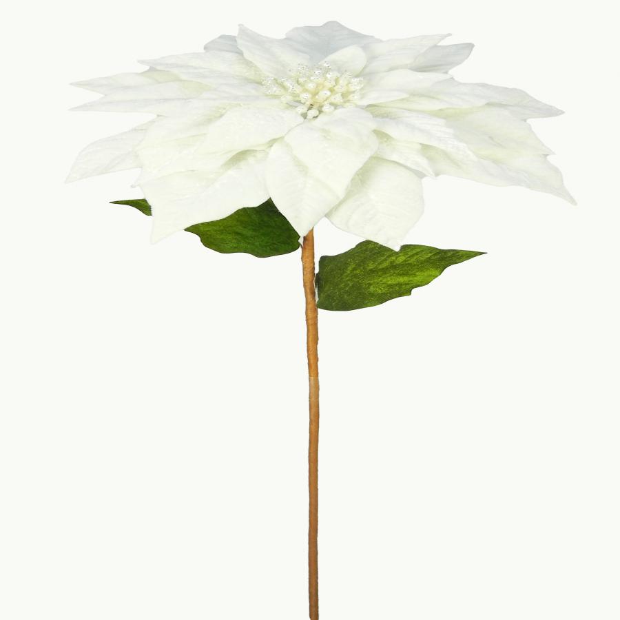 040907904502-galerias el triunfo