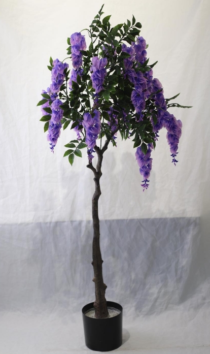 304001736116-galerias el triunfo