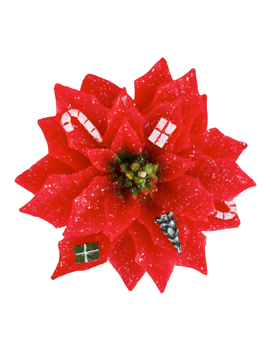 304001736213-galerias el triunfo