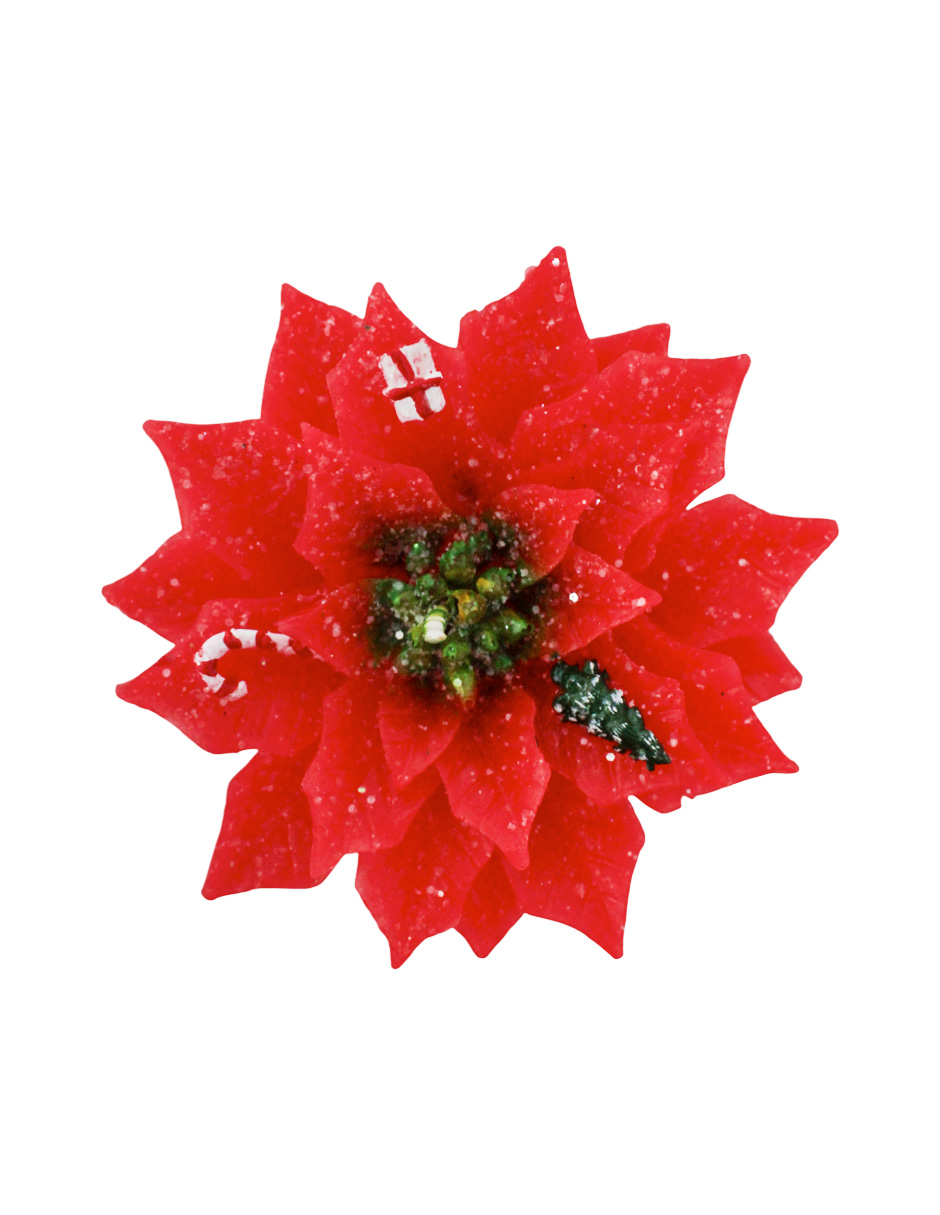 304001736214-galerias el triunfo