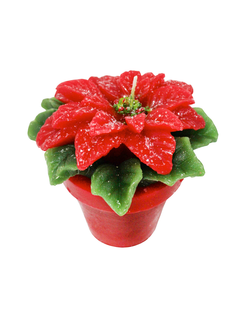 304001736218-galerias el triunfo