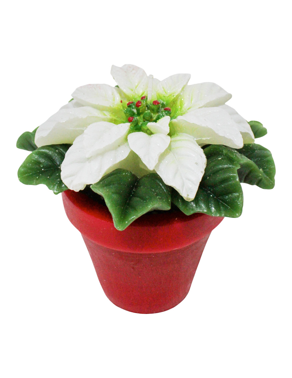 304001736220-galerias el triunfo