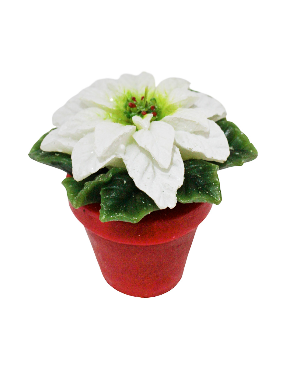 304001736221-galerias el triunfo