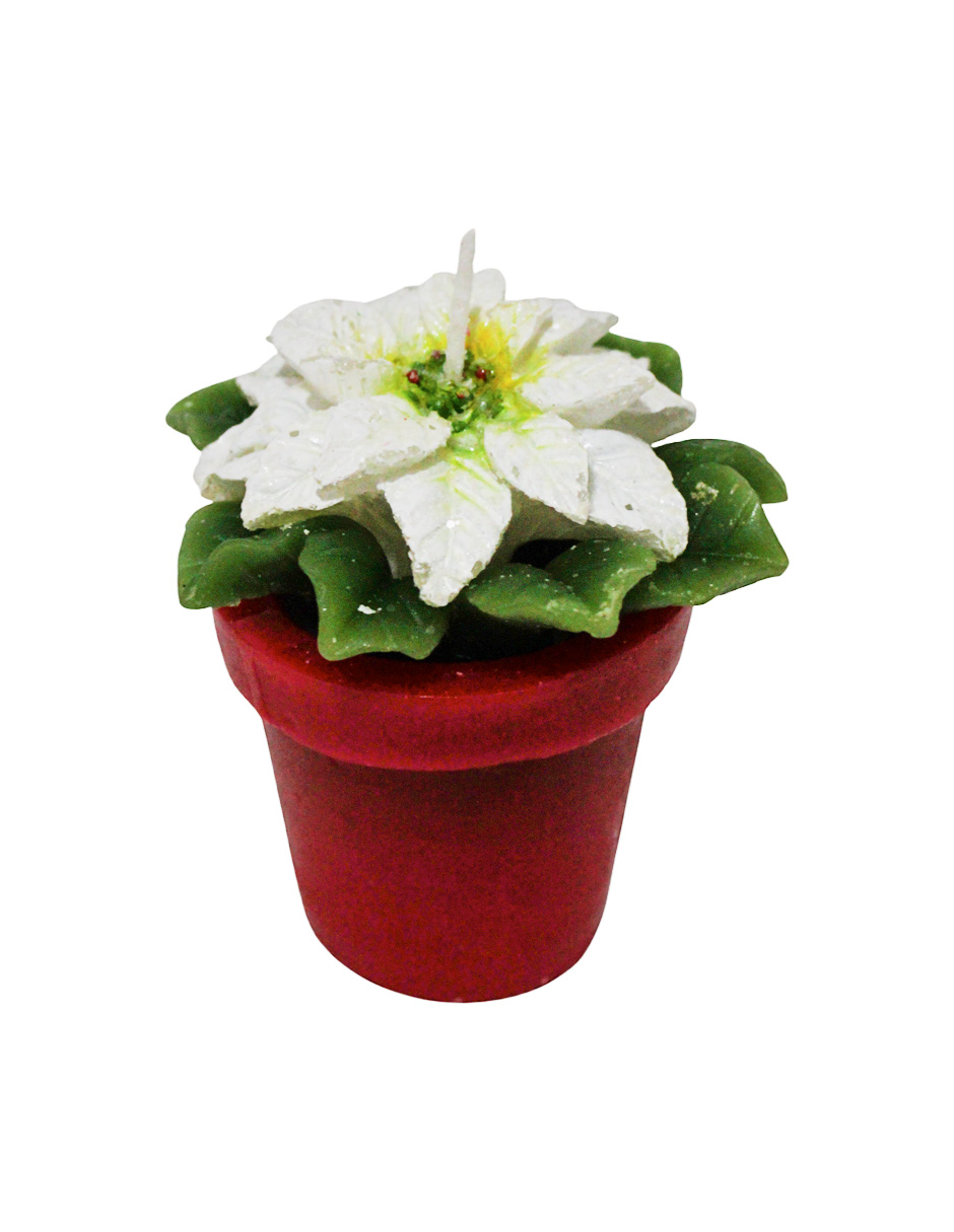 304001736222-galerias el triunfo