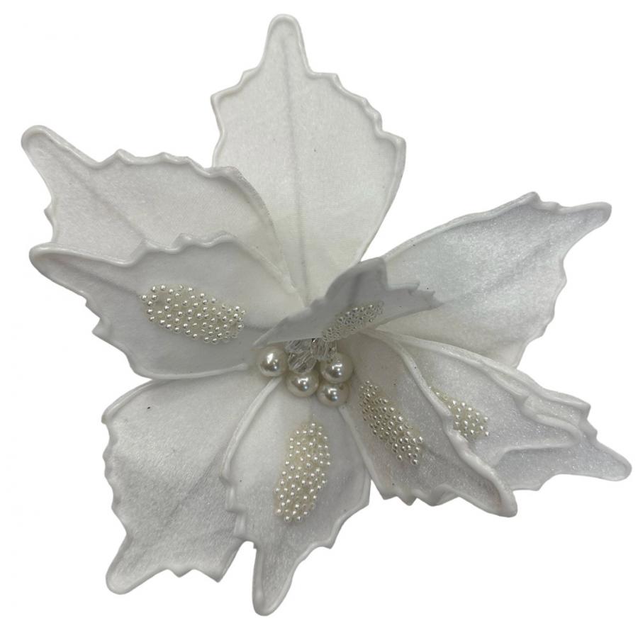 304001736348-galerias el triunfo