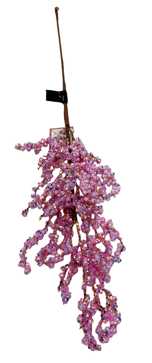 304001736351-galerias el triunfo