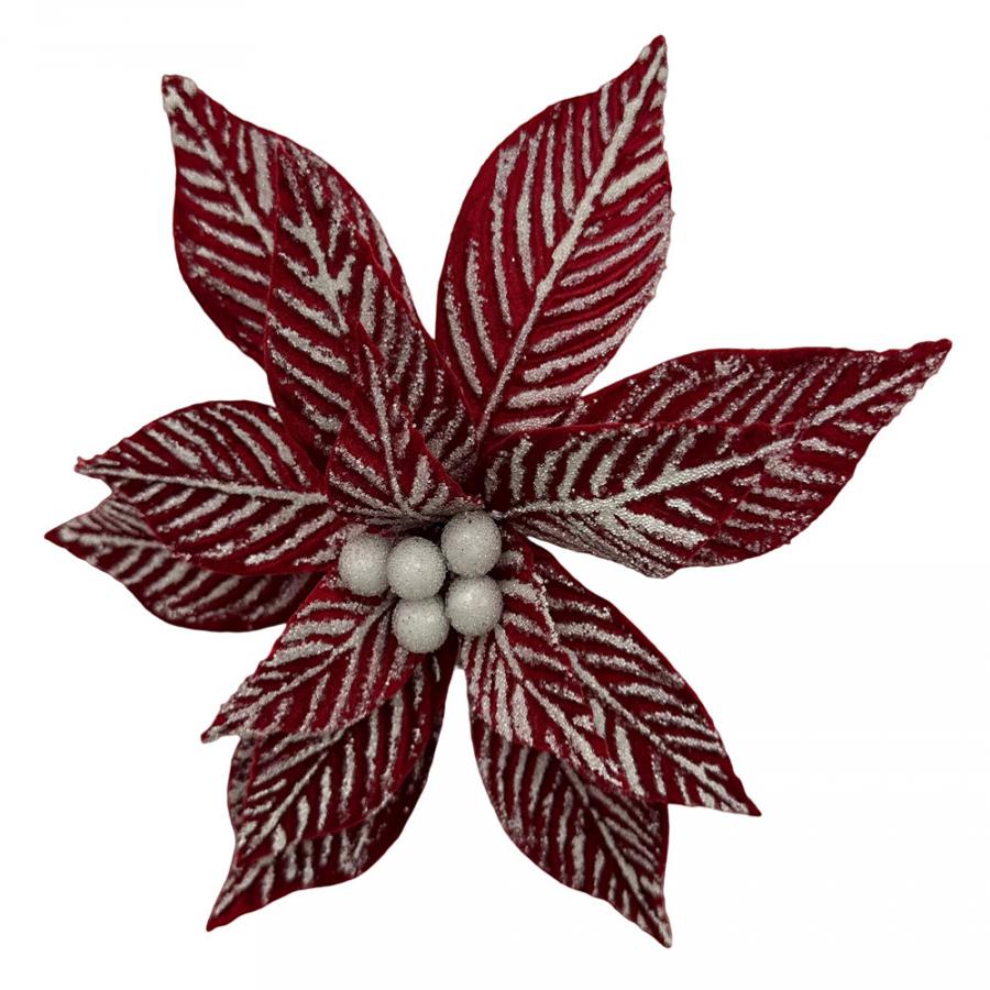 304001736356-galerias el triunfo