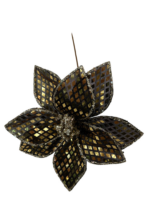 304001736357-galerias el triunfo