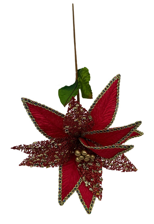 304001736367-galerias el triunfo