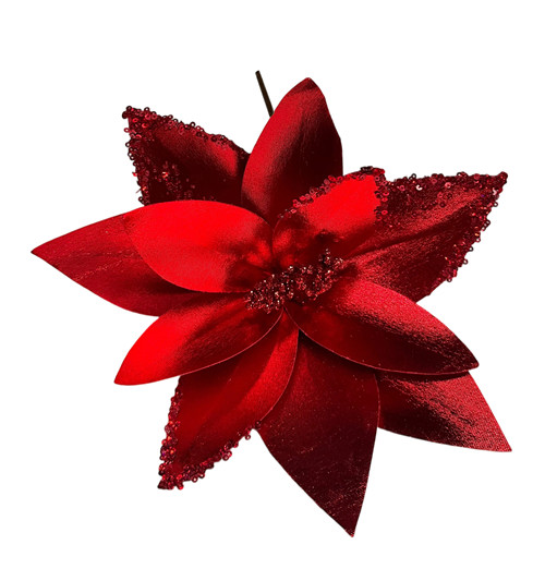 304001736398-galerias el triunfo