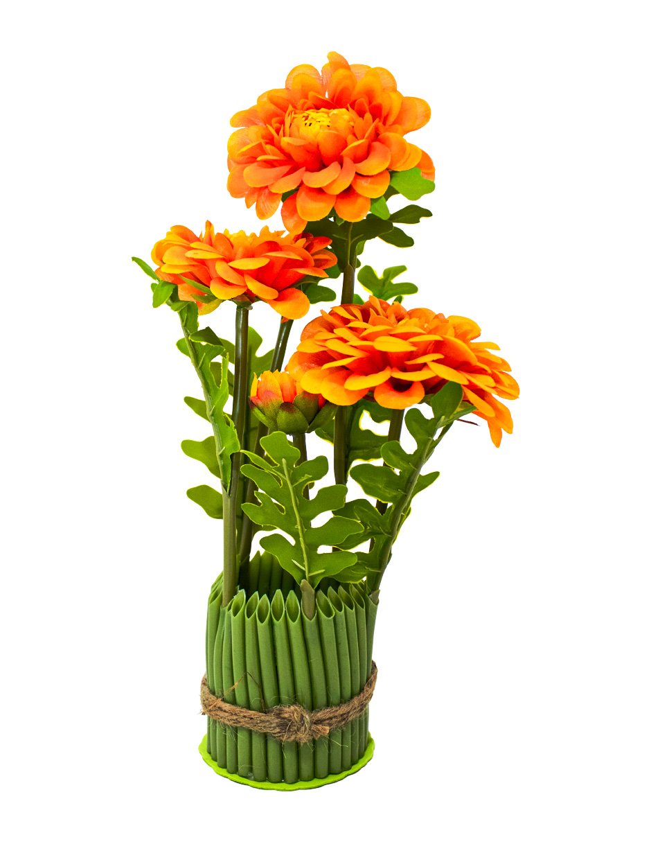 301001736845-galerias el triunfo