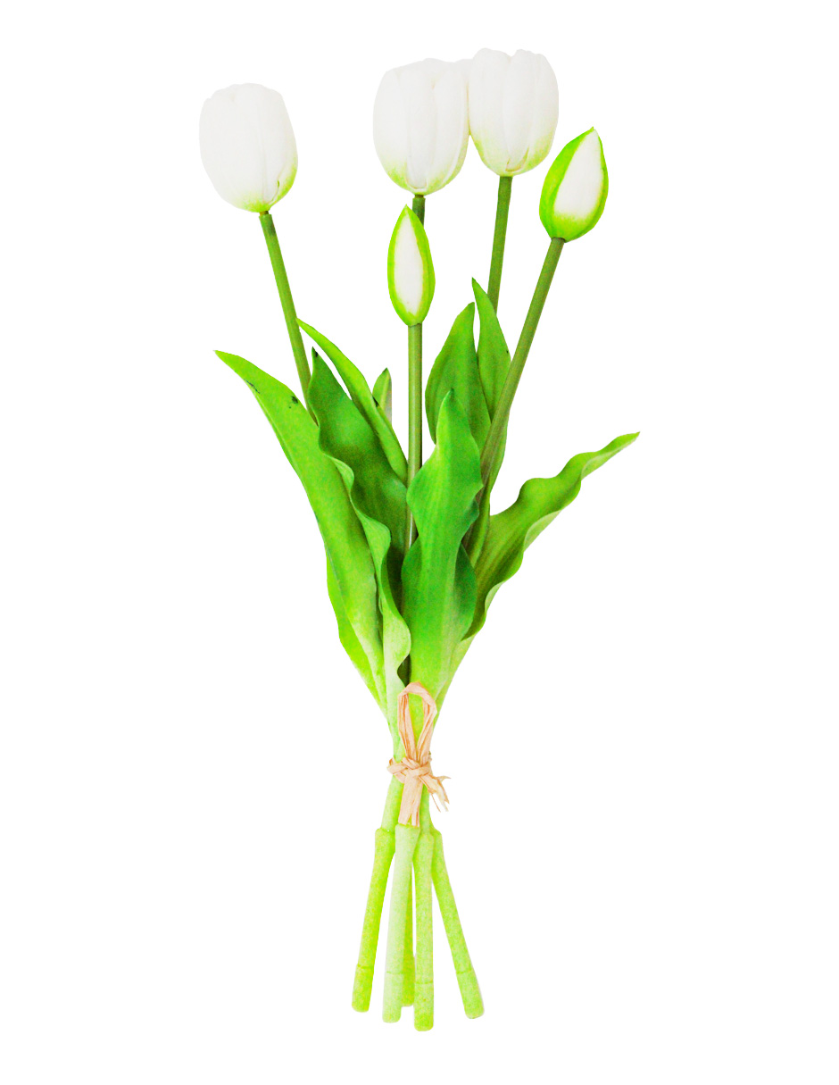 302001736062-galerias el triunfo