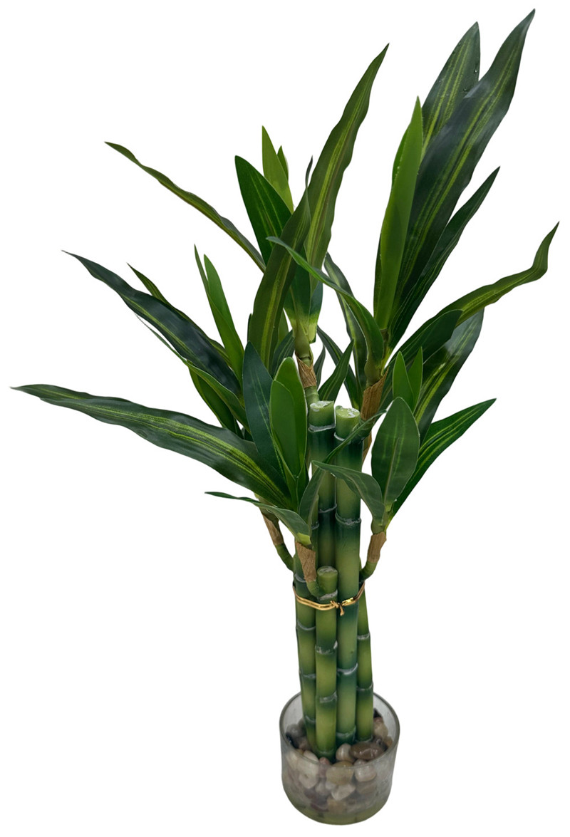 304001736090-galerias el triunfo