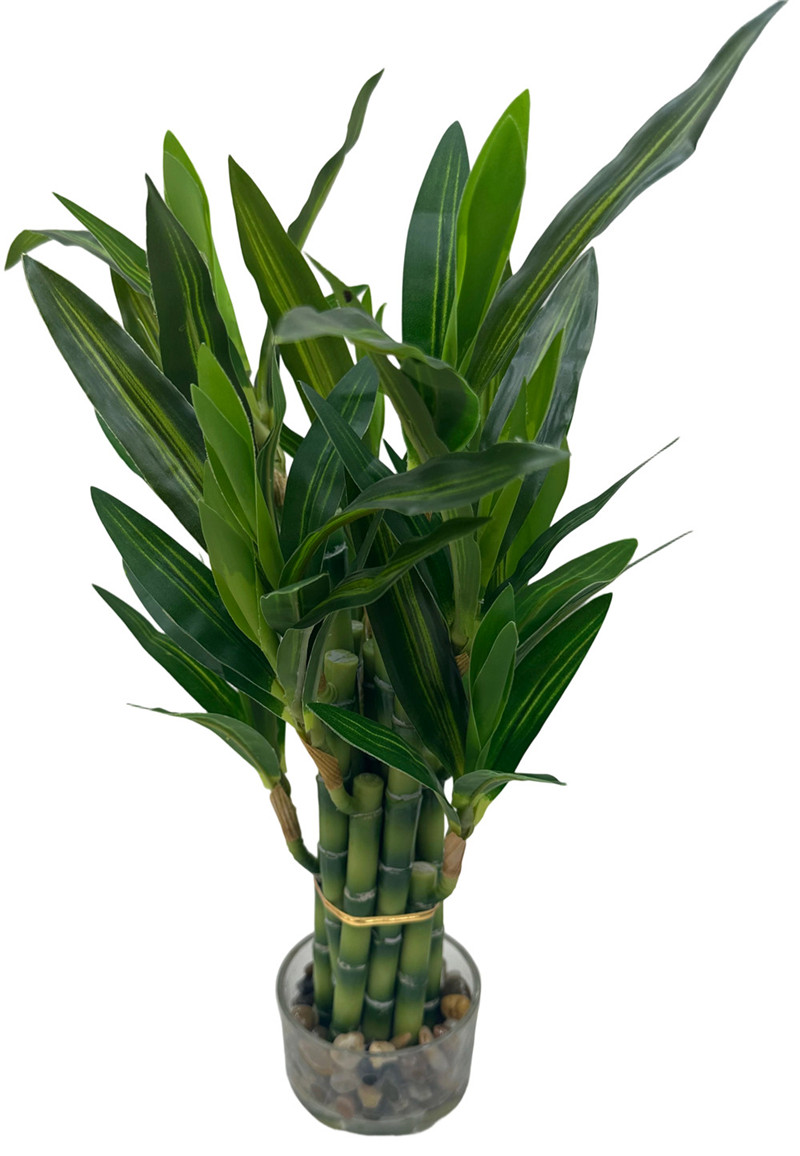 304001736091-galerias el triunfo