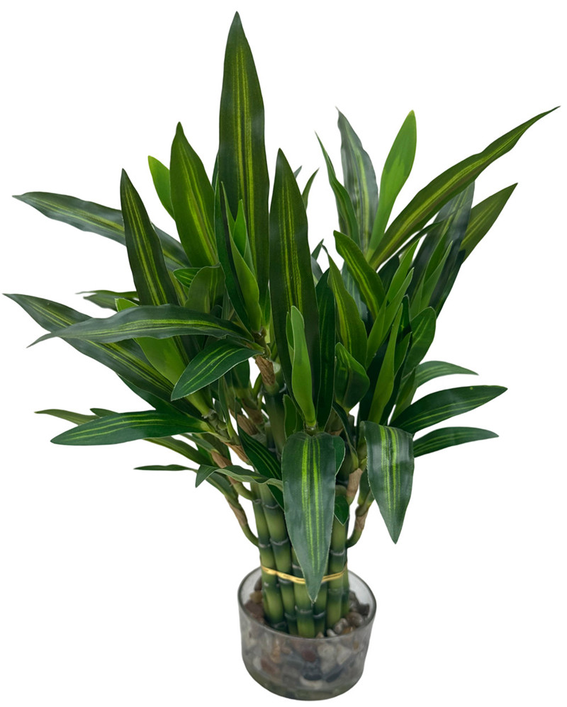 304001736092-galerias el triunfo