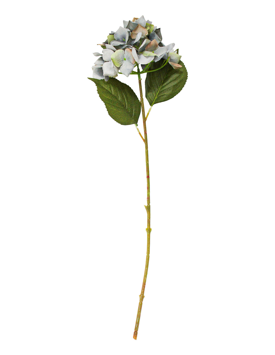 022032746016-galerias el triunfo