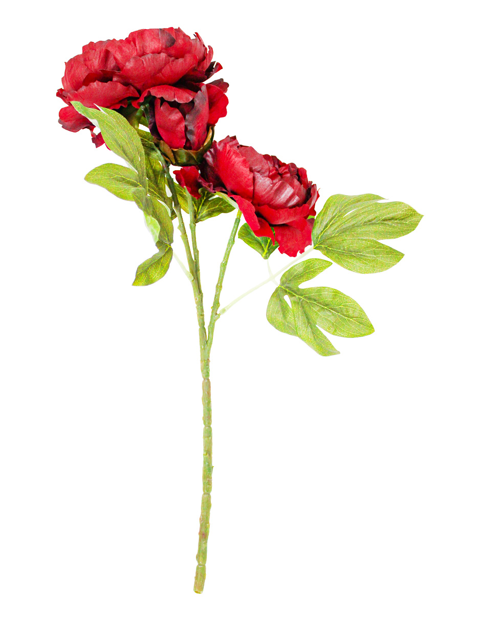 022032746222-galerias el triunfo