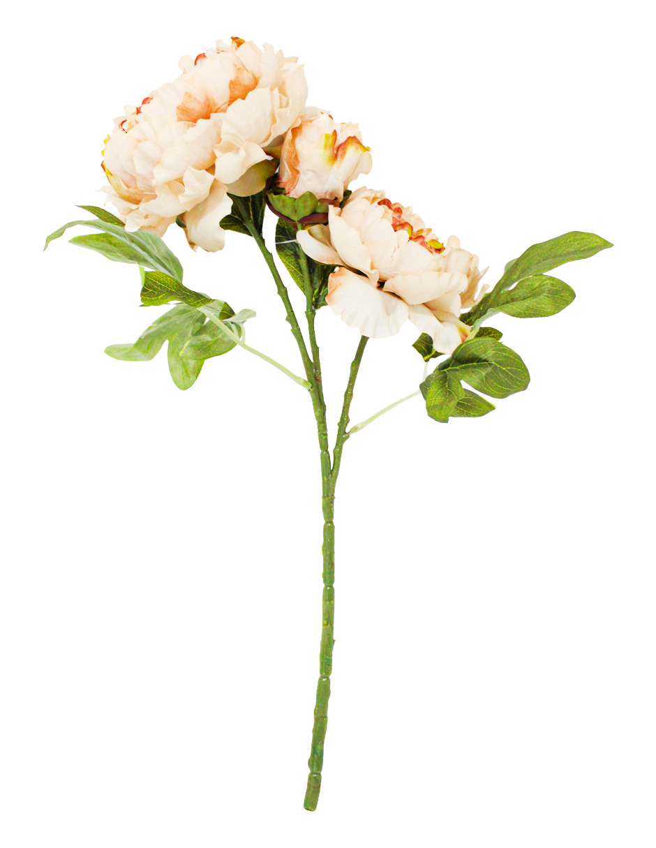 022032746225-galerias el triunfo