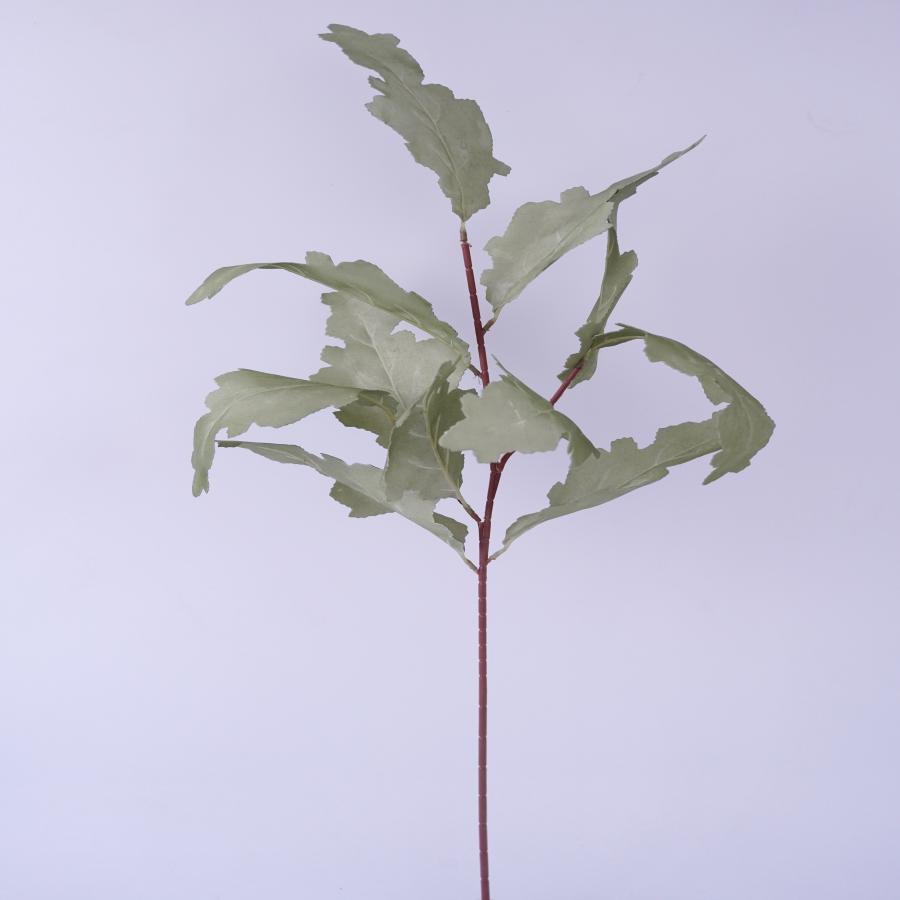 022032849041-galerias el triunfo