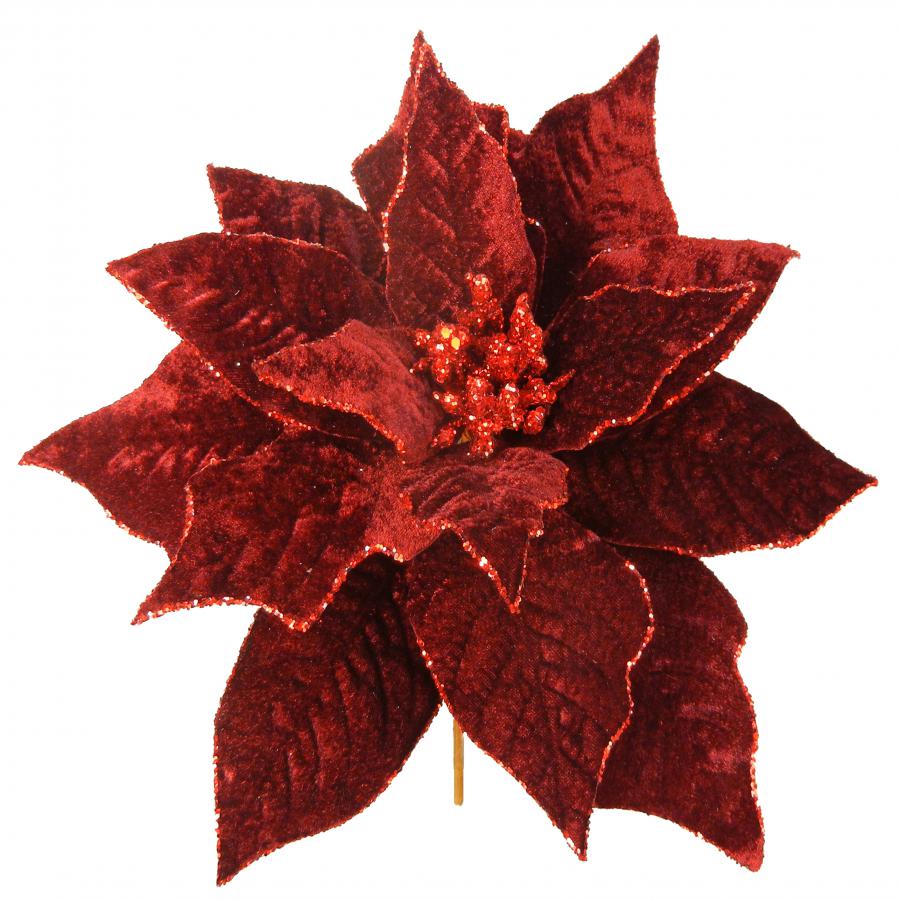 040907904485-galerias el triunfo