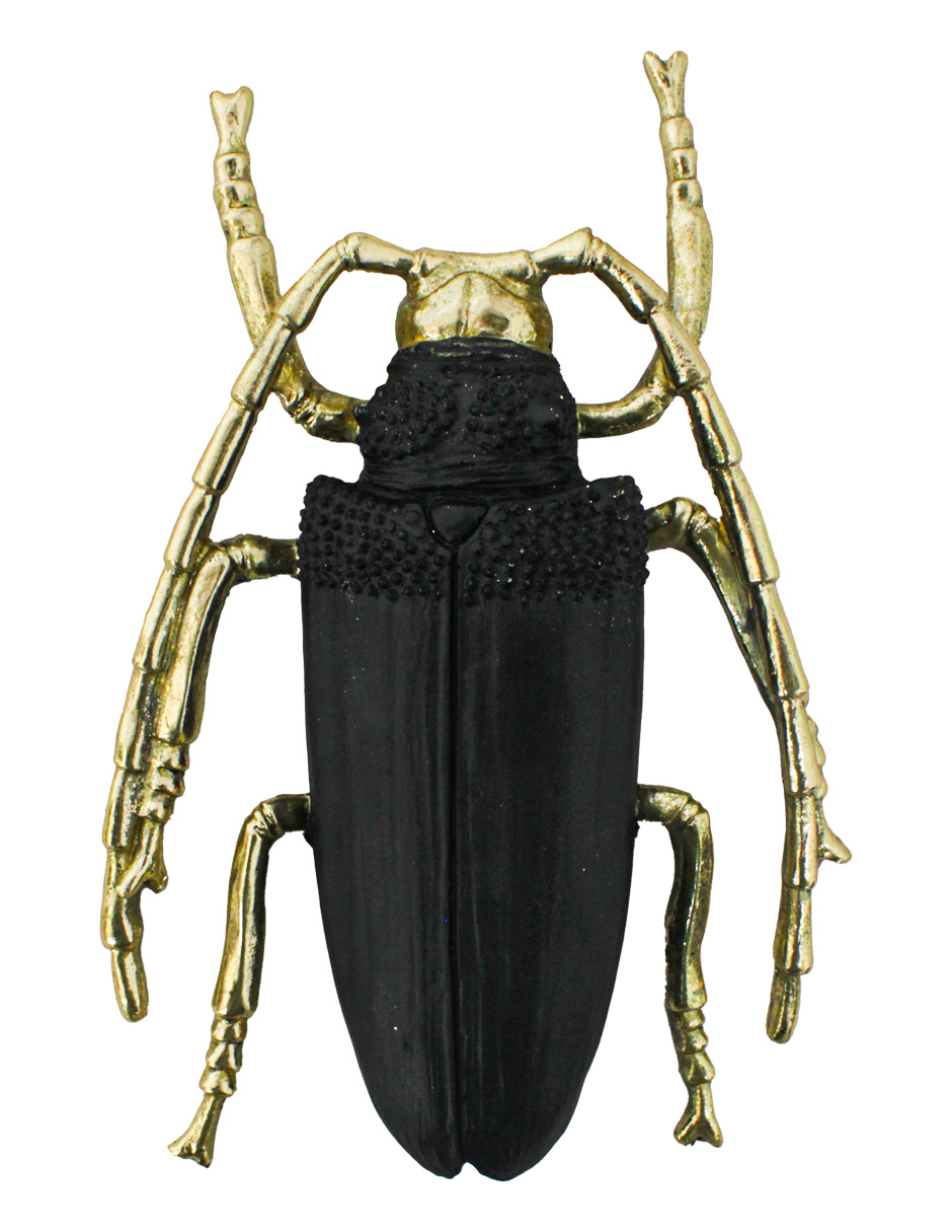 044071821886-galerias el triunfo