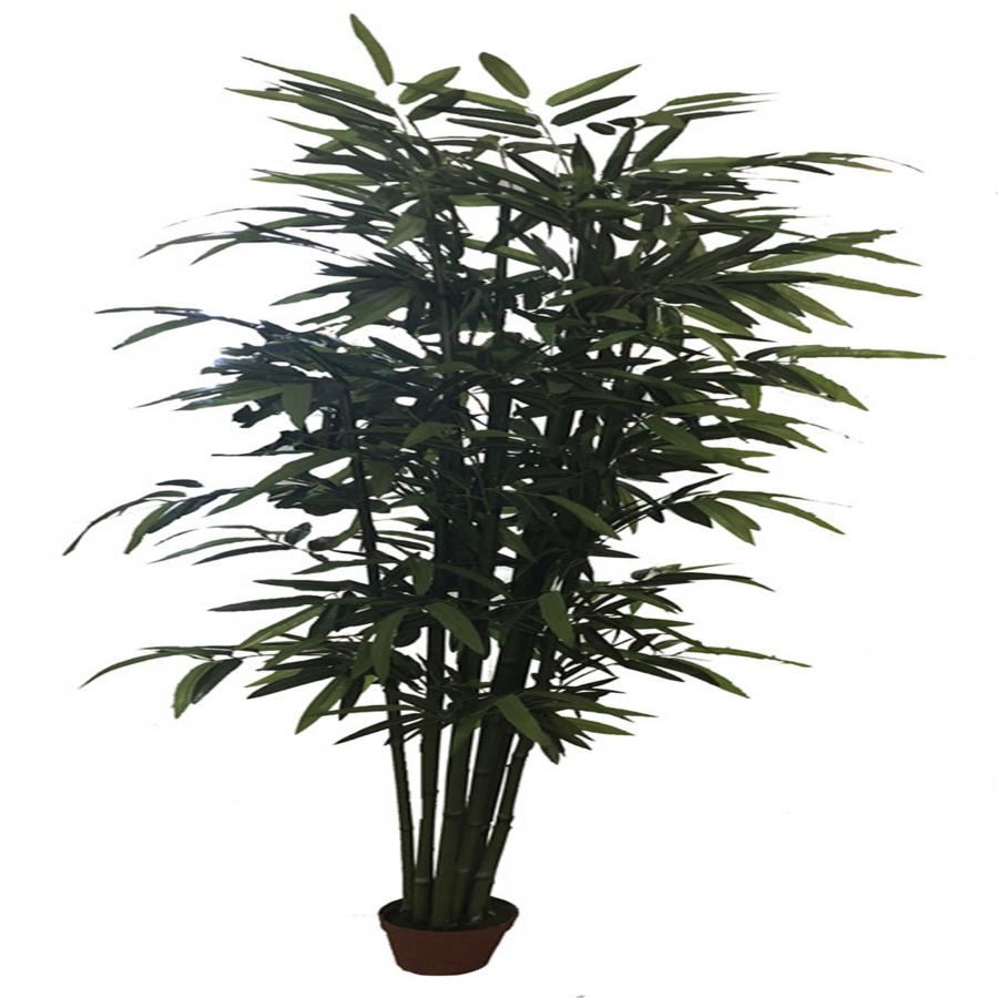 221001736208-galerias el triunfo