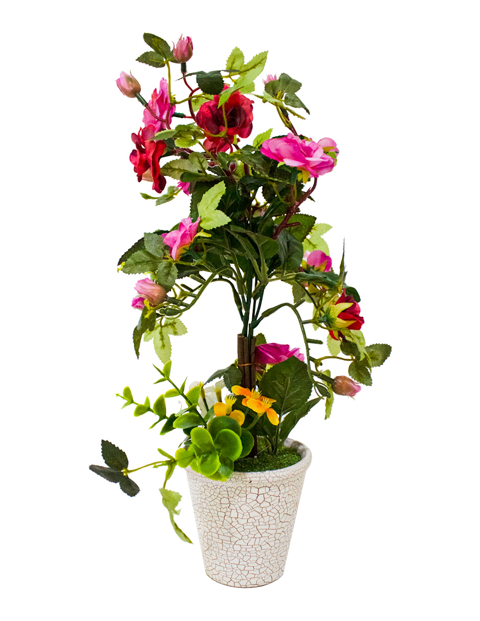 301001736875-galerias el triunfo