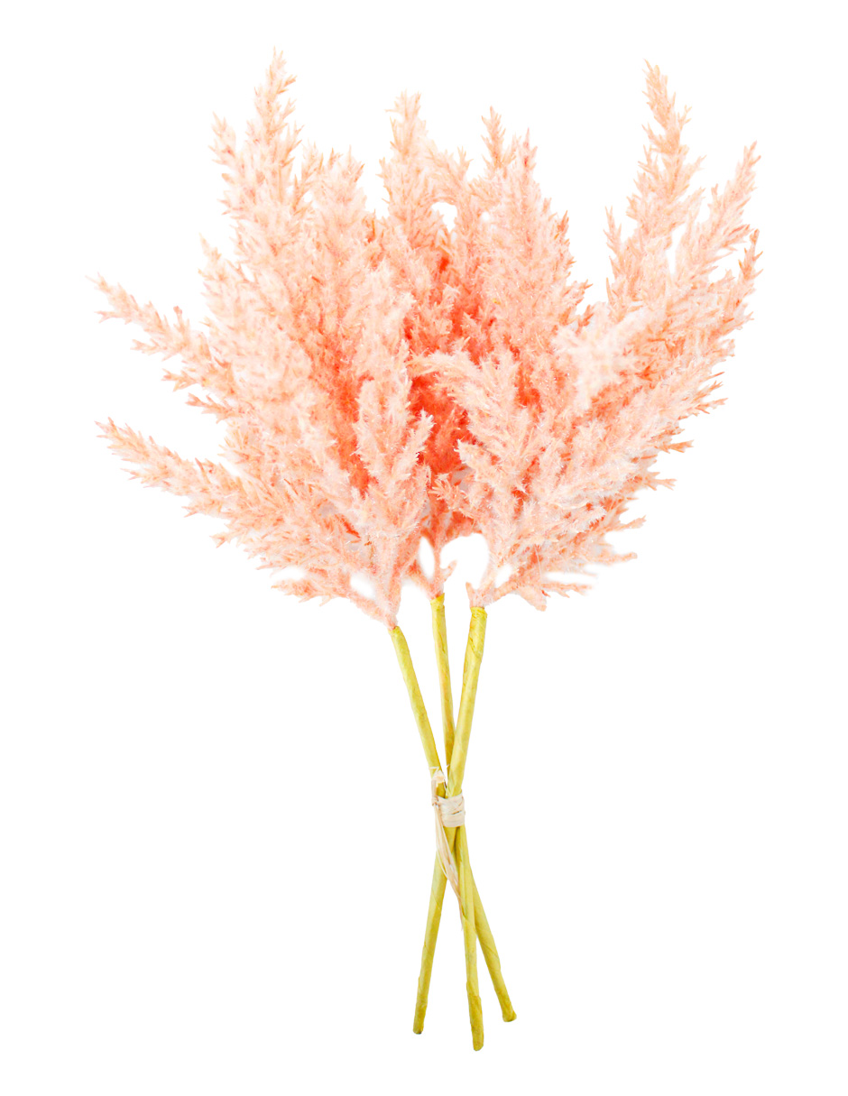 301001736885-galerias el triunfo