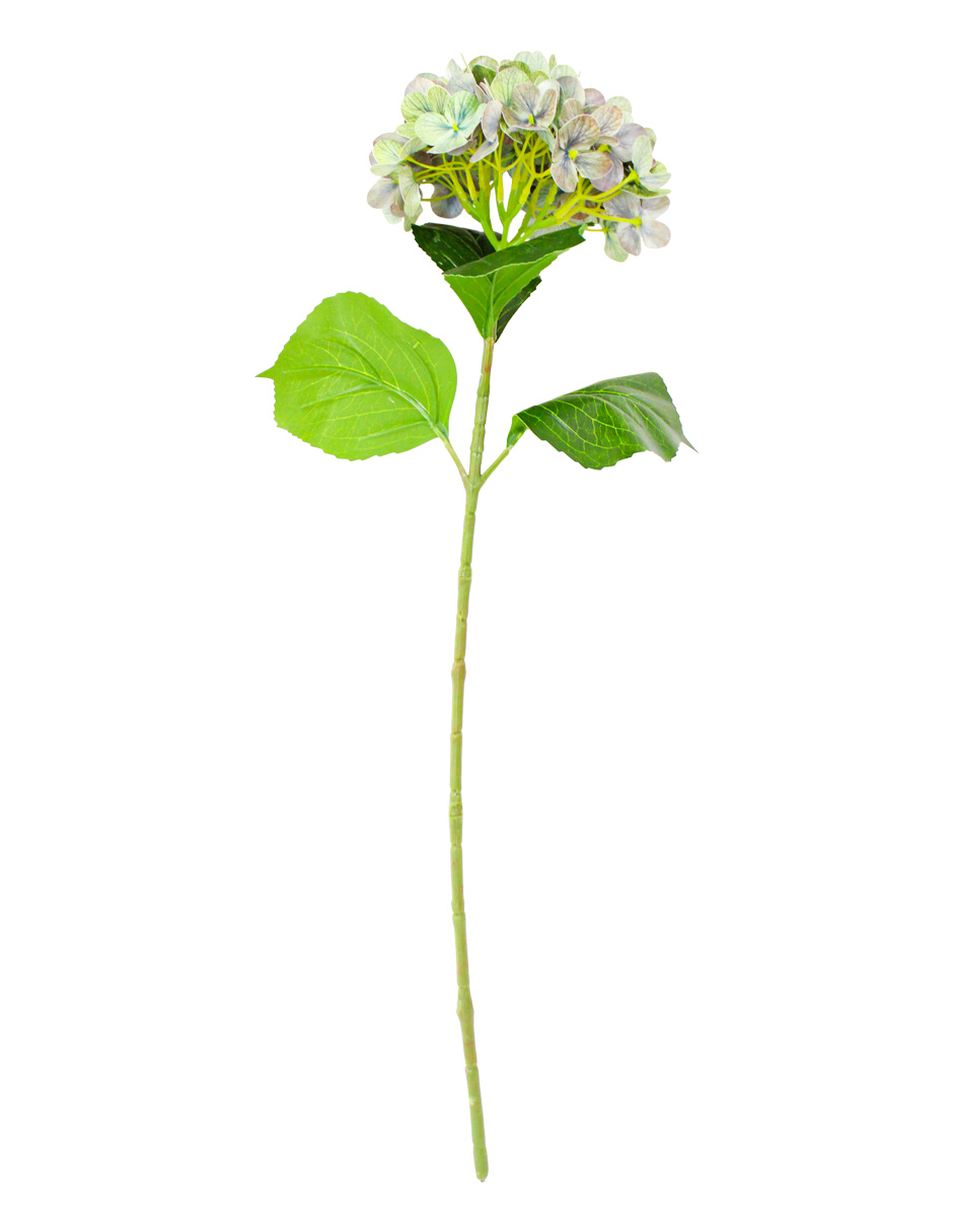 301001736962-galerias el triunfo