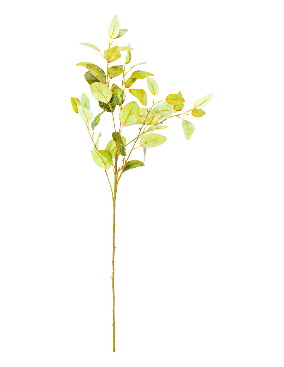 301001736982-galerias el triunfo