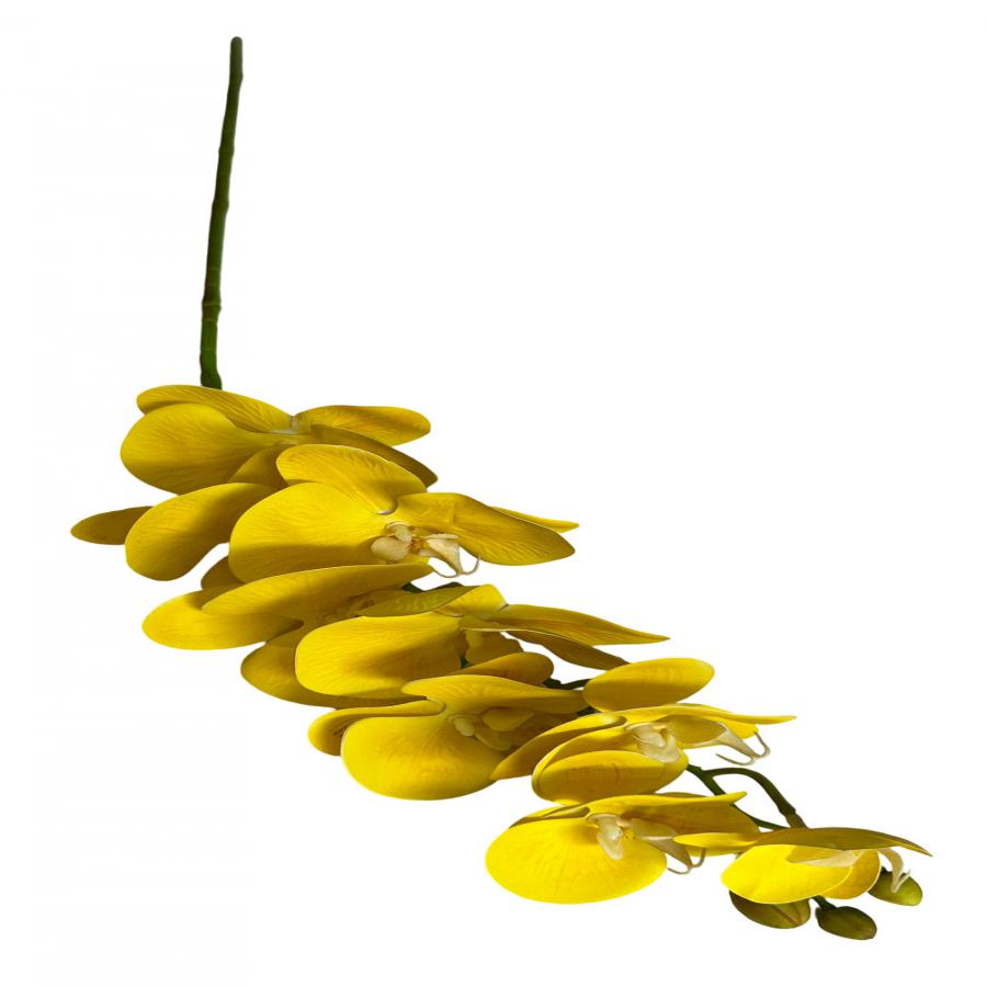 303001736921-galerias el triunfo