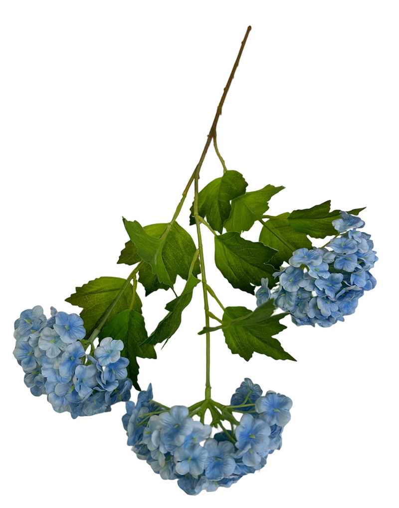 303001736952-galerias el triunfo