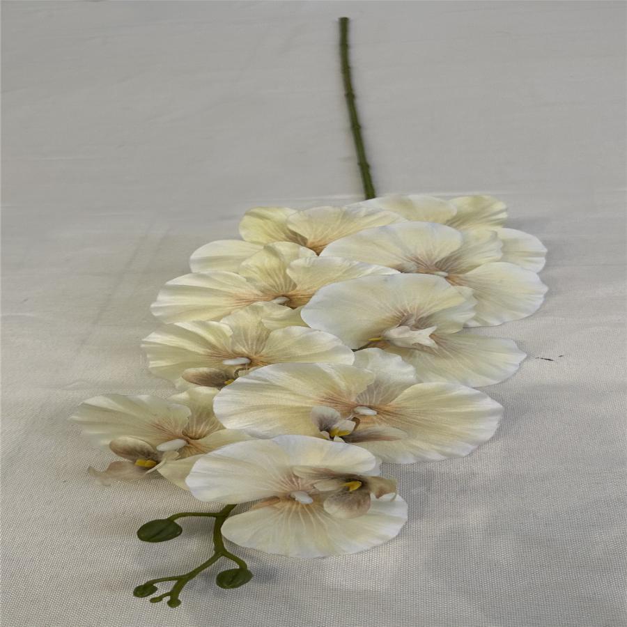 303001736968-galerias el triunfo