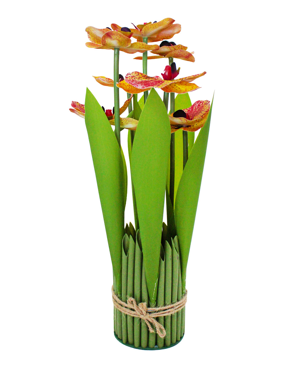 304001736002-galerias el triunfo