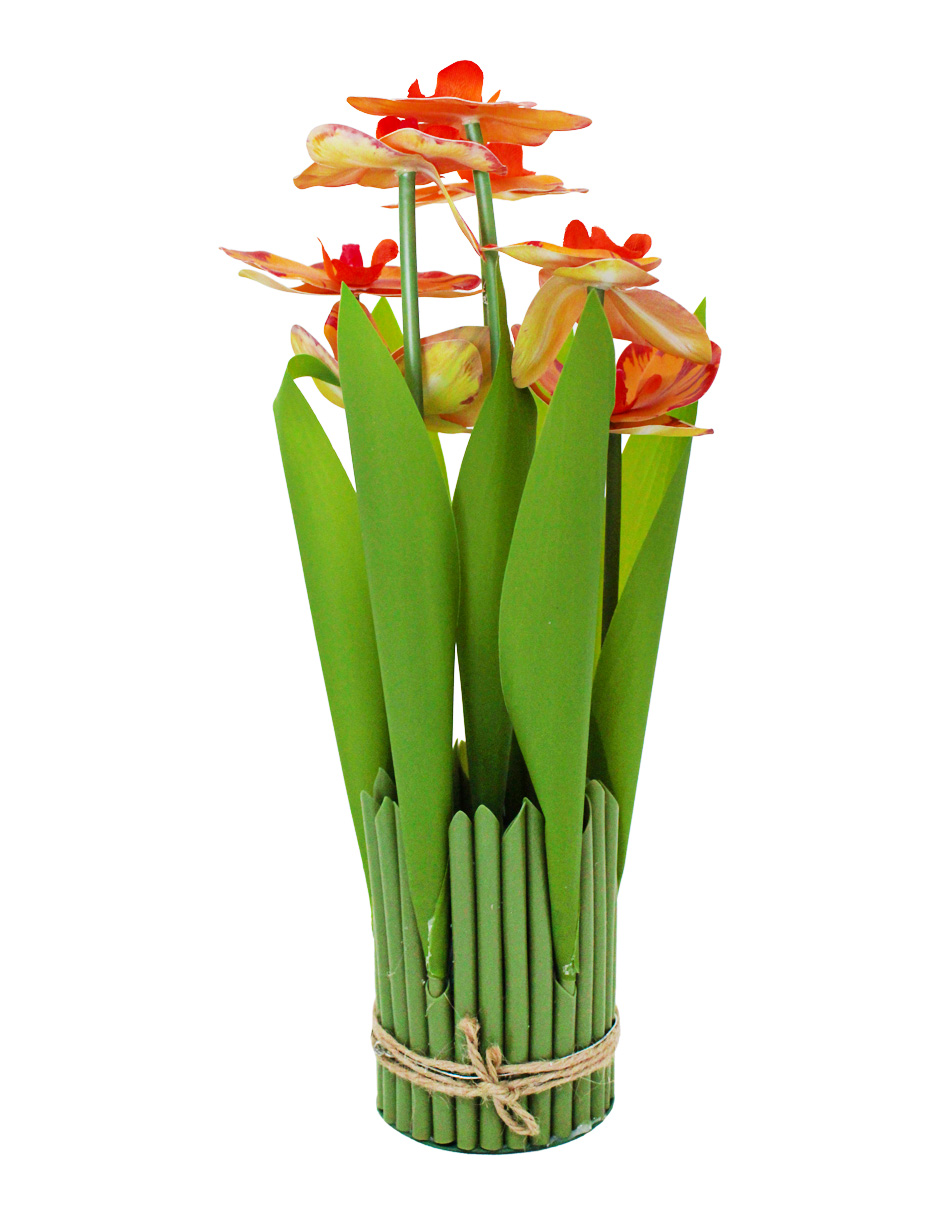 304001736004-galerias el triunfo