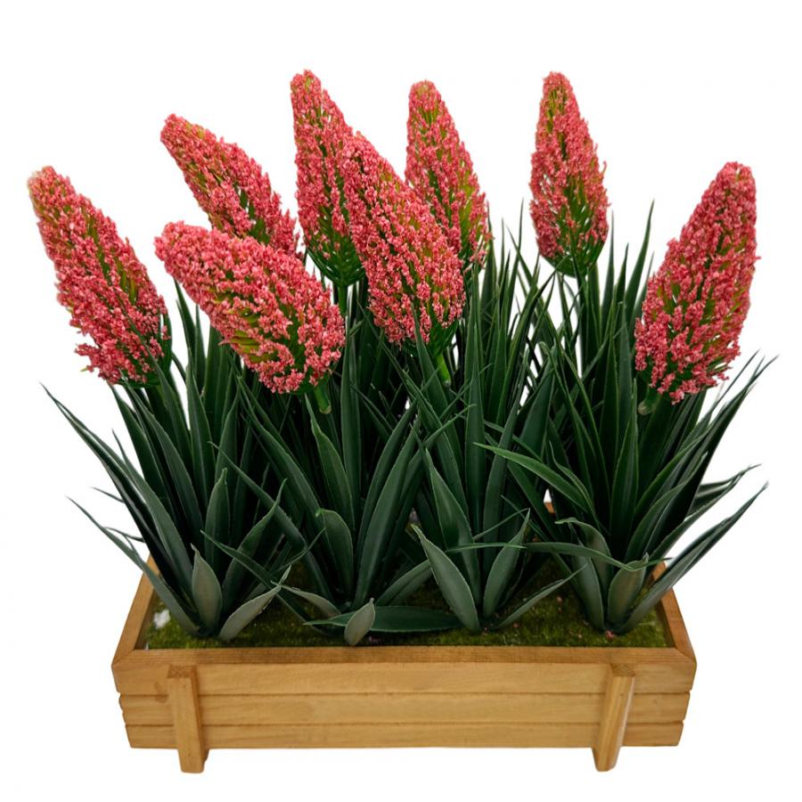 304001736082-galerias el triunfo