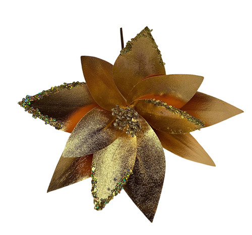 304001736399-galerias el triunfo