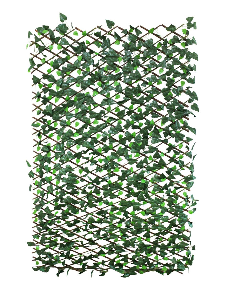 171071736999-galerias el triunfo