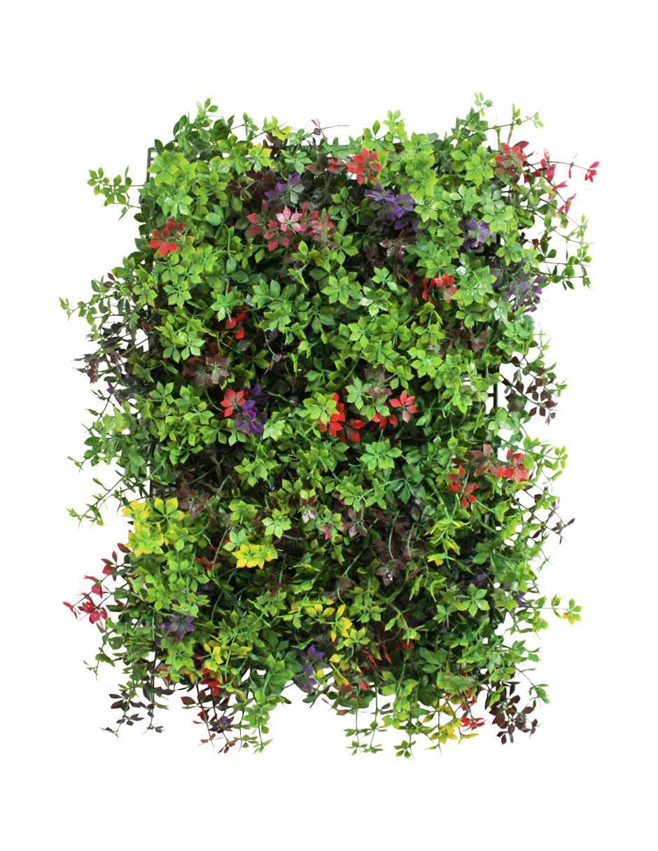 301001736434-galerias el triunfo