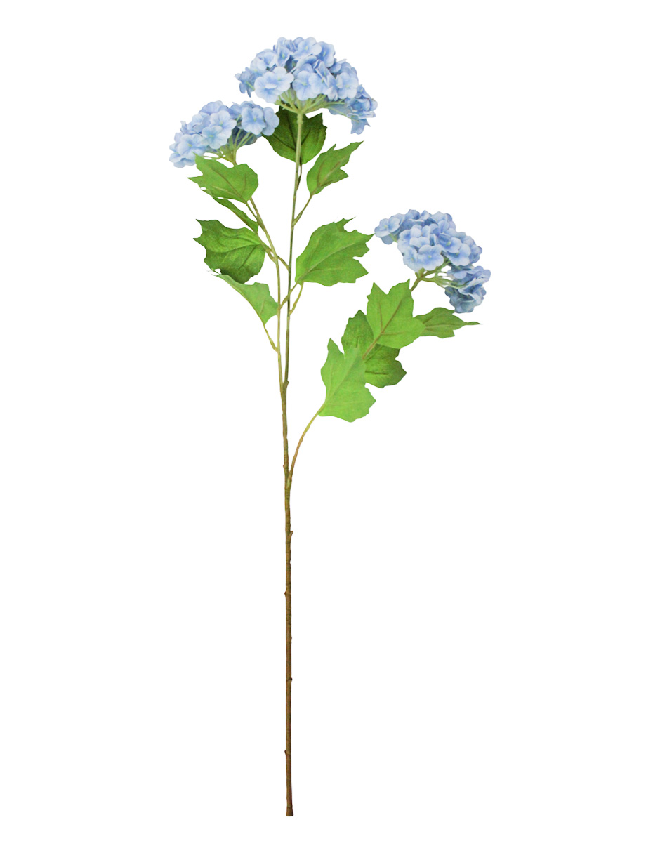 303001736952-galerias el triunfo