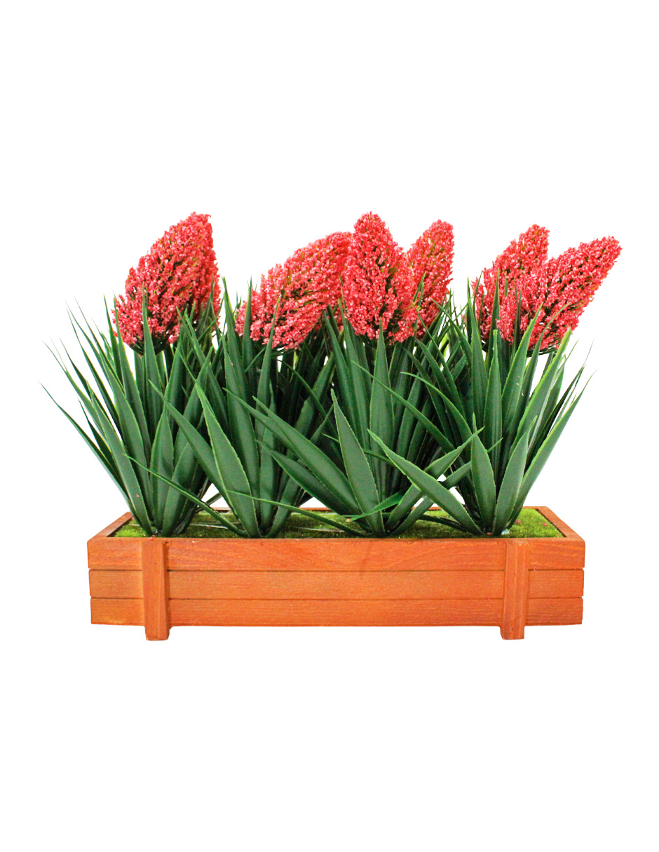 304001736082-galerias el triunfo